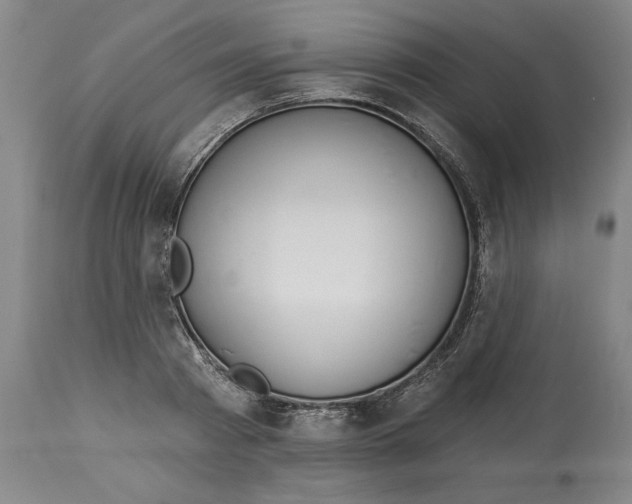 X0000113130793200910021415