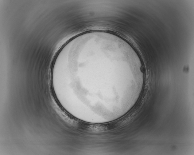 X0000113130795200910021415