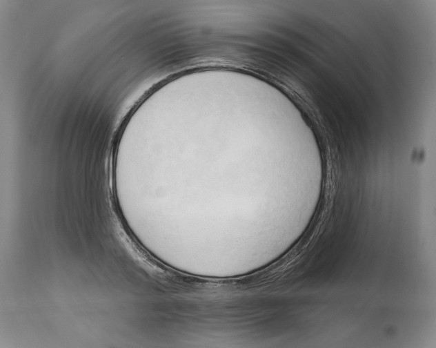 X0000113130796200910021415