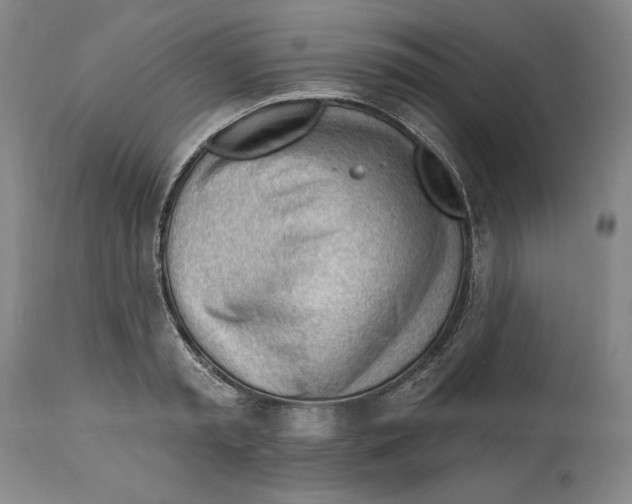 X0000113130797200910021415