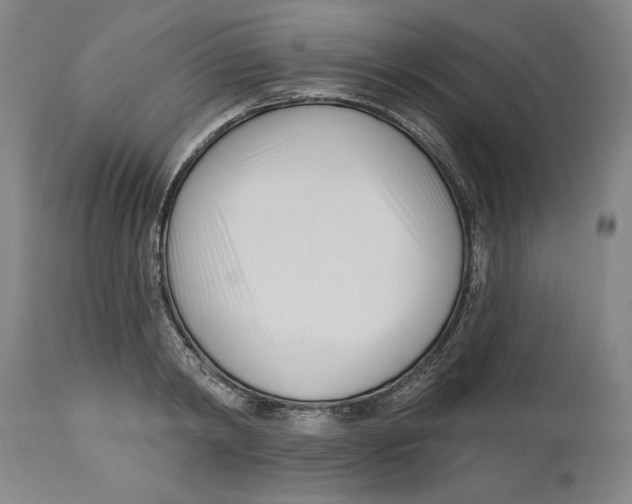 X0000113130798200910021415