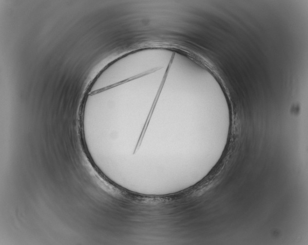 X0000113130803200910021415