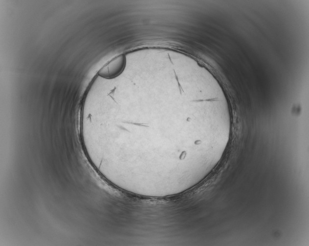 X0000113130804200910021415