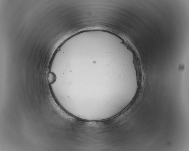 X0000113130805200910021415