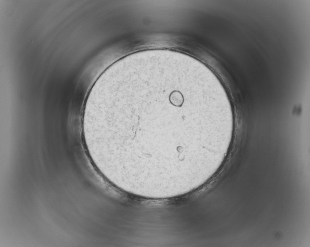 X0000113130810200910021414