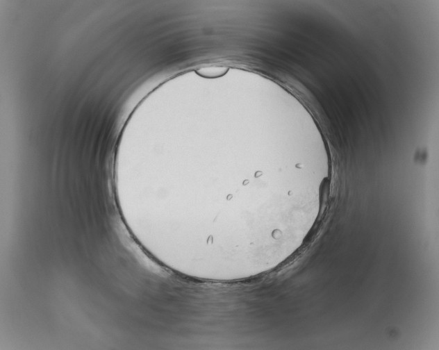 X0000113130812200910021414