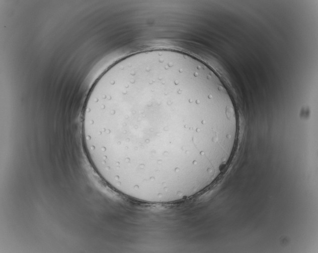 X0000113130814200910021414