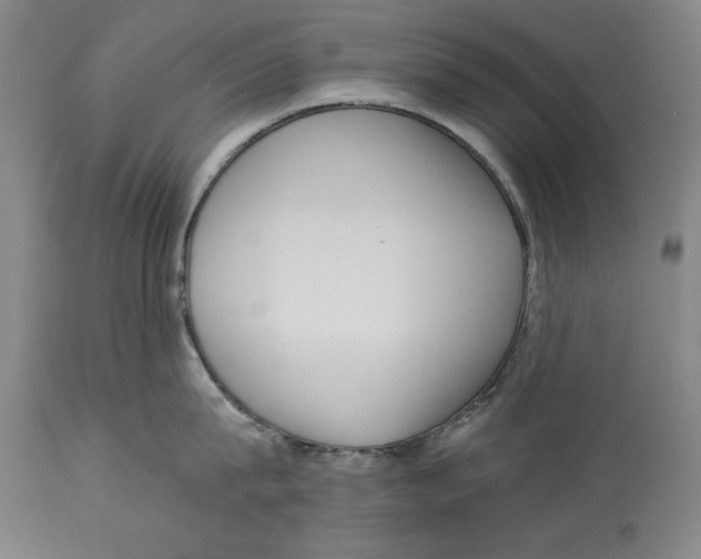 X0000113130815200910021414