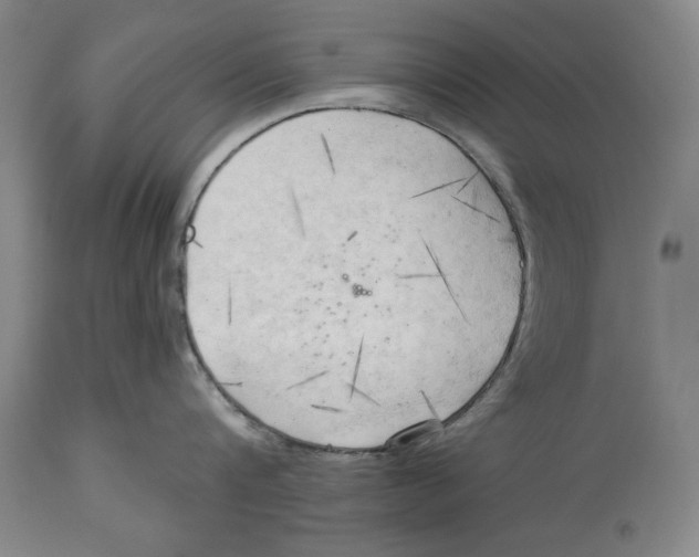 X0000113130816200910021414
