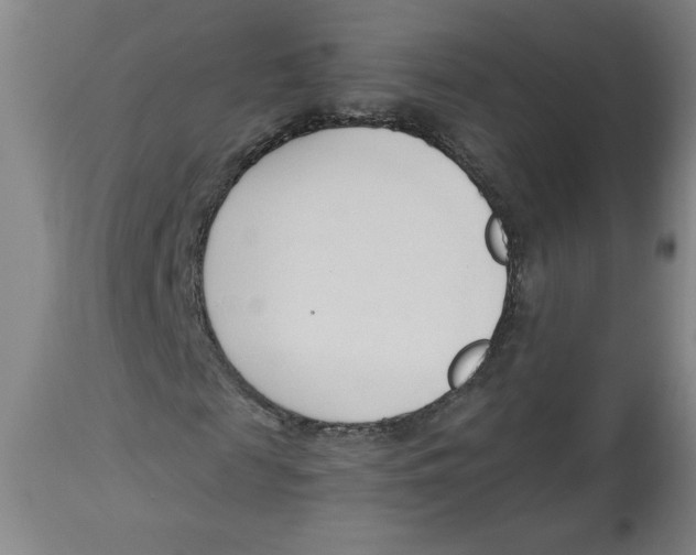 X0000113130817200910021414