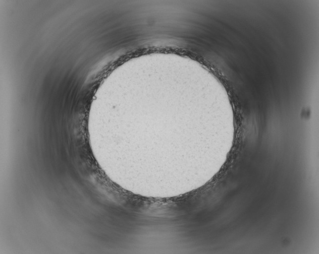 X0000113130824200910021414