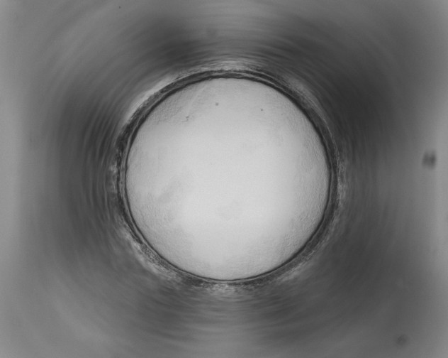 X0000113130827200910021414