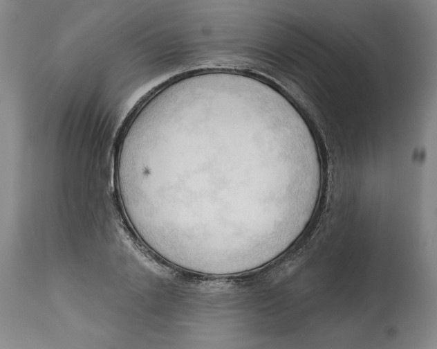 X0000113130838200910021414