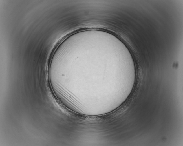 X0000113130840200910021414