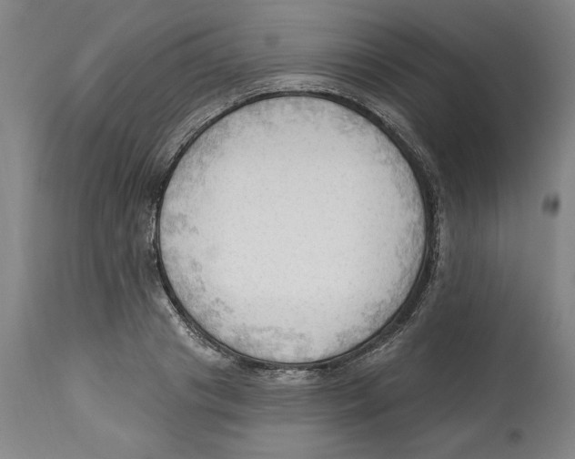 X0000113130841200910021414