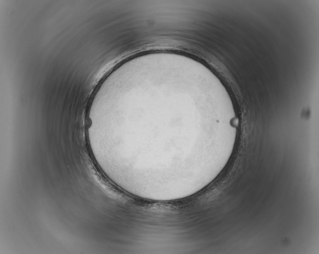 X0000113130842200910021414