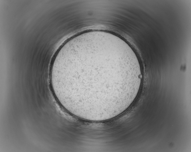 X0000113130845200910021414