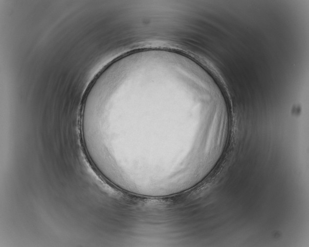 X0000113130847200910021414