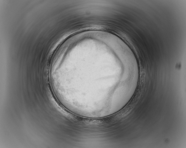 X0000113130851200910021414