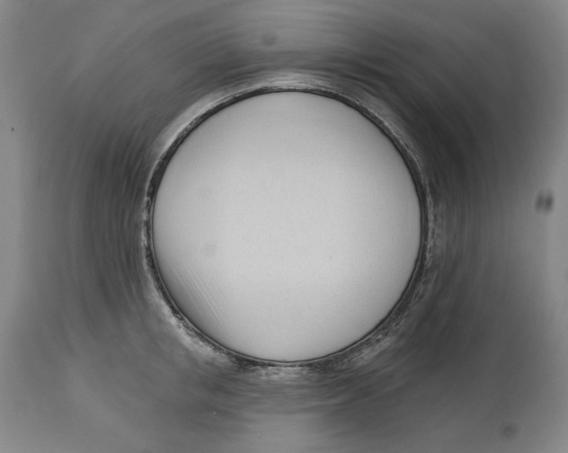 X0000113130853200910021414