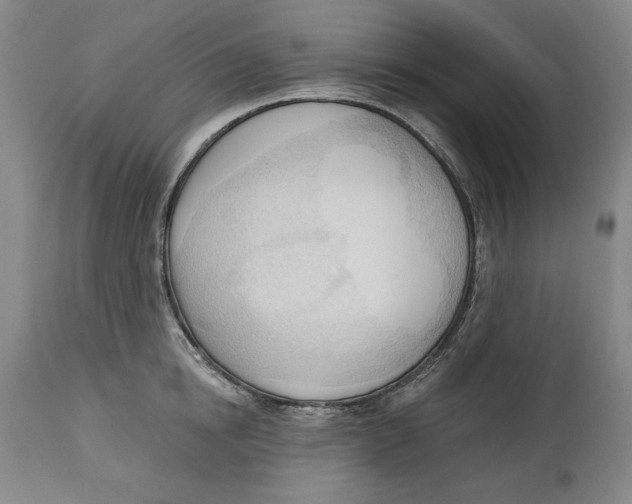 X0000113130854200910021414