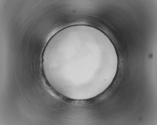 X0000113130858200910021414