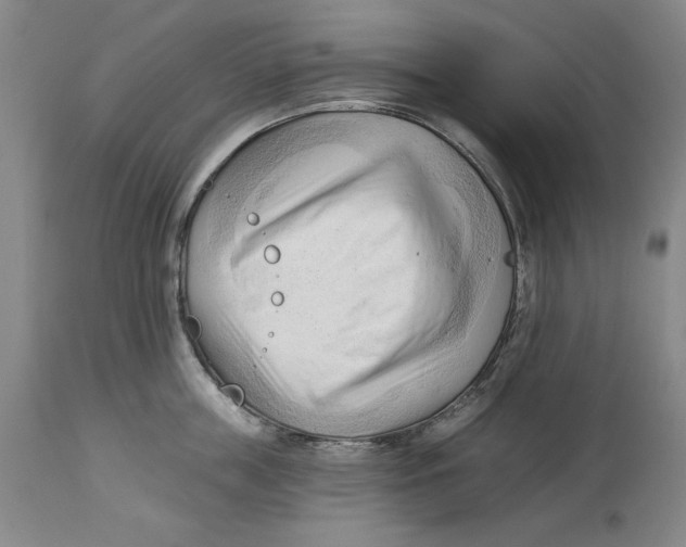 X0000113130859200910021414