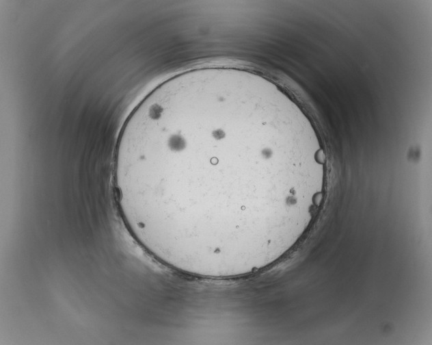 X0000113130860200910021414