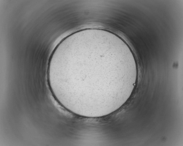 X0000113130861200910021414