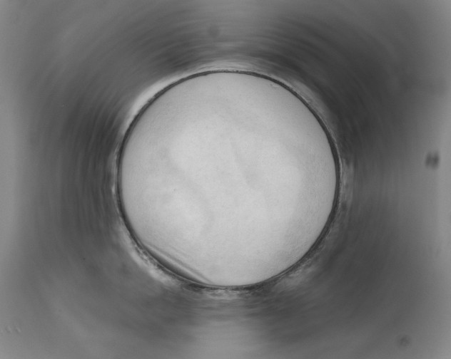 X0000113130862200910021414