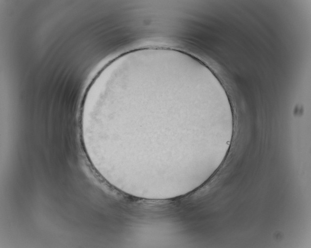 X0000113130864200910021414