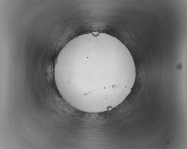 X0000113130866200910021414