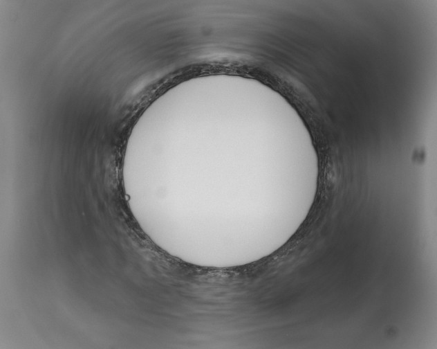 X0000113130869200910021413