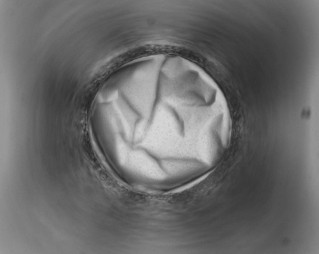 X0000113130870200910021413