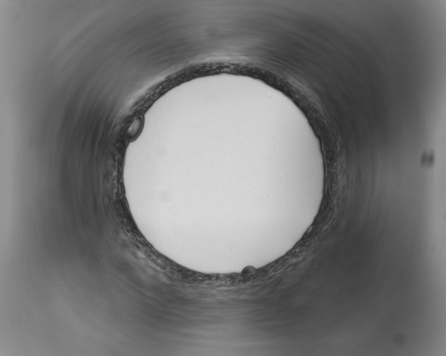 X0000113130872200910021413