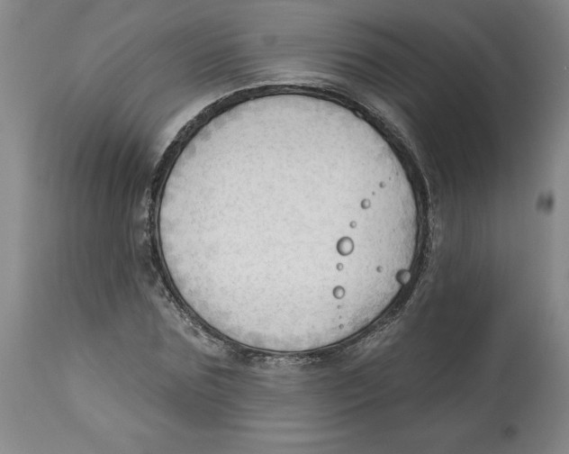 X0000113130875200910021413