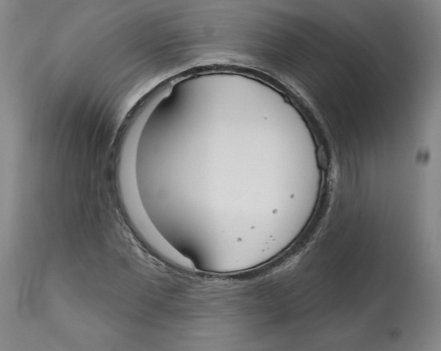 X0000113130877200910021413