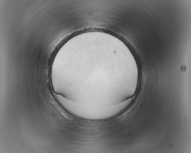 X0000113130878200910021413