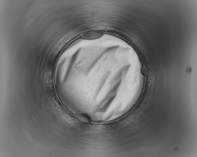 X0000113130881200910021413