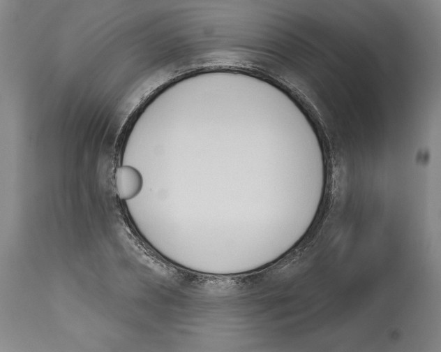 X0000113130882200910021413