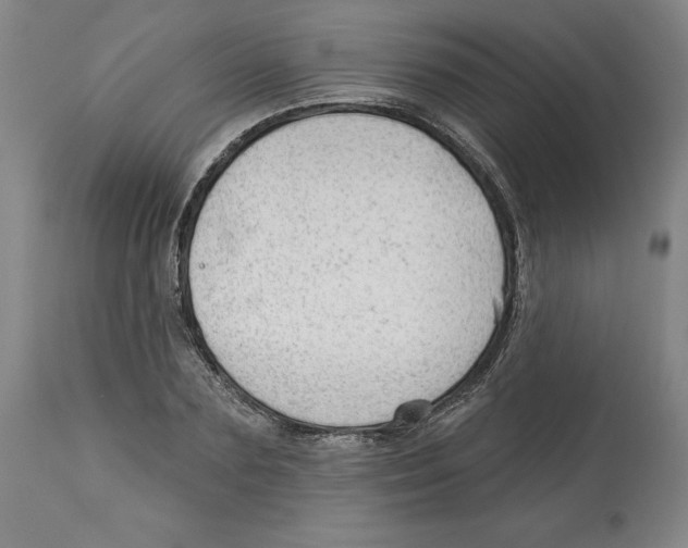 X0000113130883200910021413