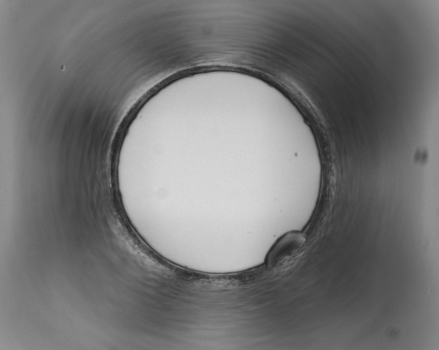 X0000113130884200910021413