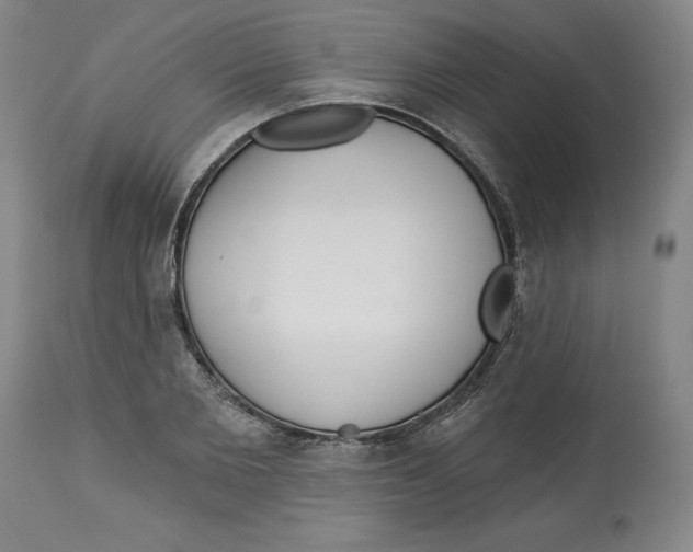 X0000113130885200910021413