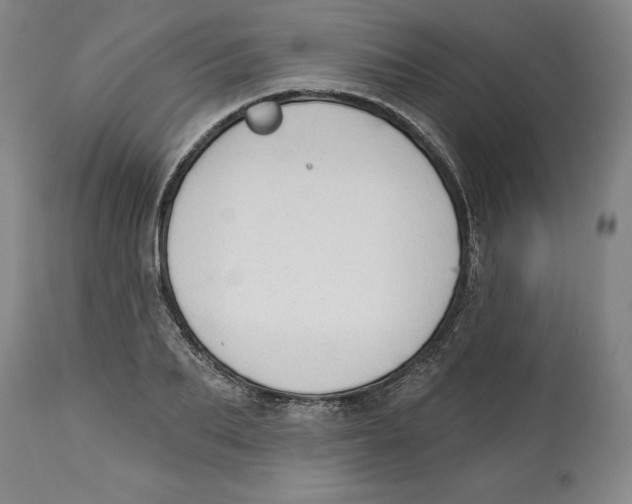 X0000113130887200910021413