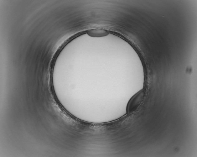 X0000113130888200910021413