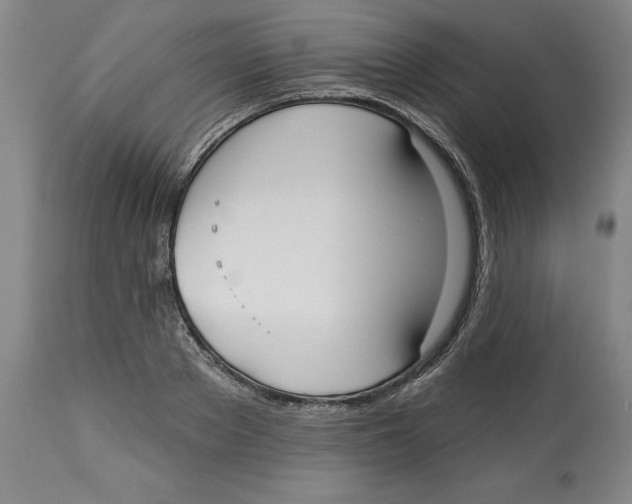 X0000113130889200910021413