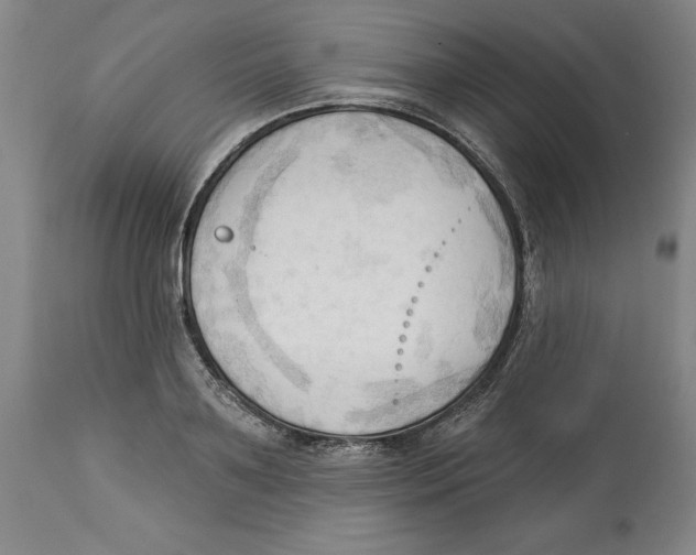 X0000113130891200910021413