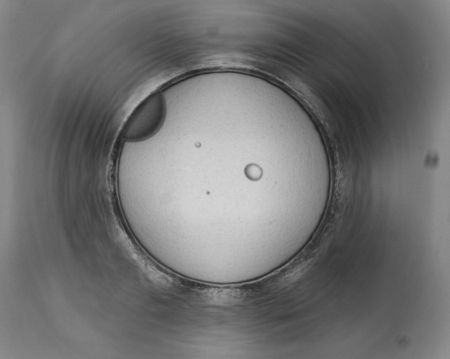 X0000113130893200910021413