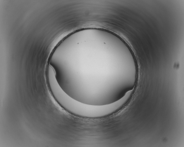 X0000113130901200910021413