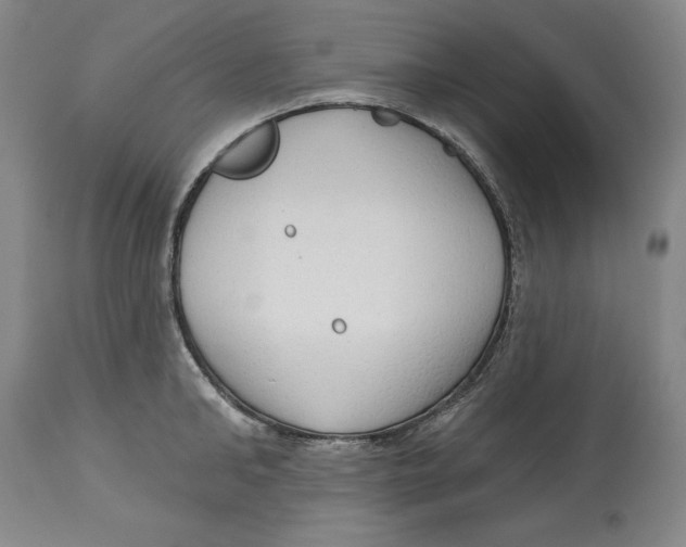 X0000113130902200910021413